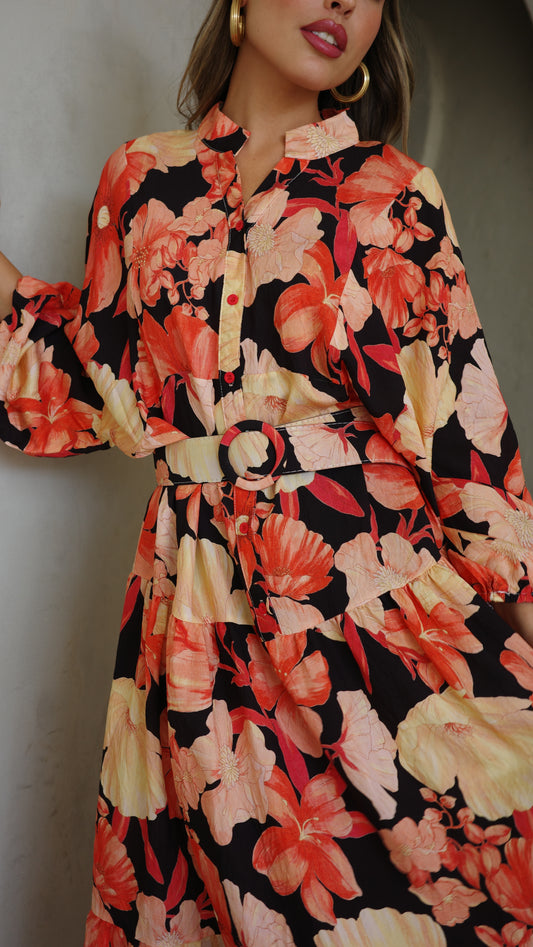 גלביה קומות כפתורים חגורה איילינד | שחור/אדום